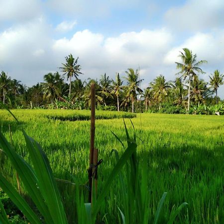 Uma Loka Villa By Shm Ubud Zewnętrze zdjęcie