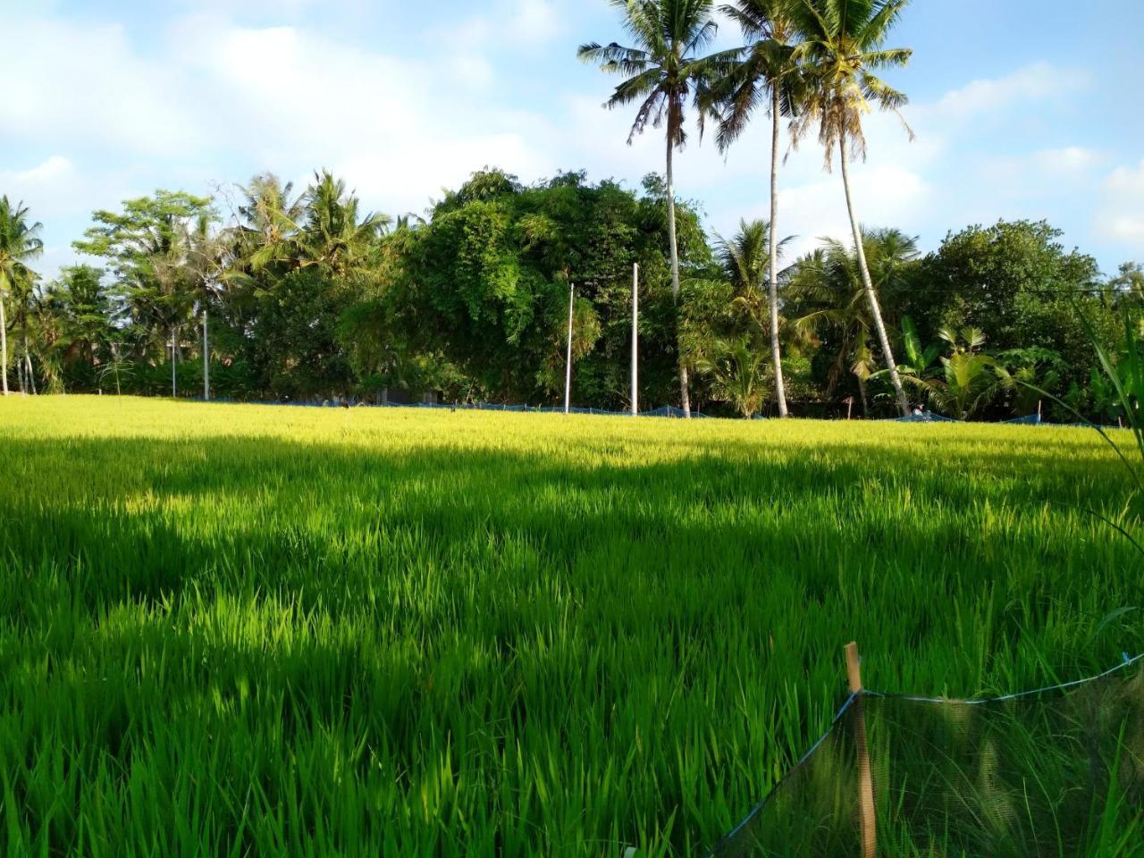 Uma Loka Villa By Shm Ubud Zewnętrze zdjęcie